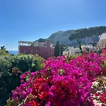 Joy * Capri