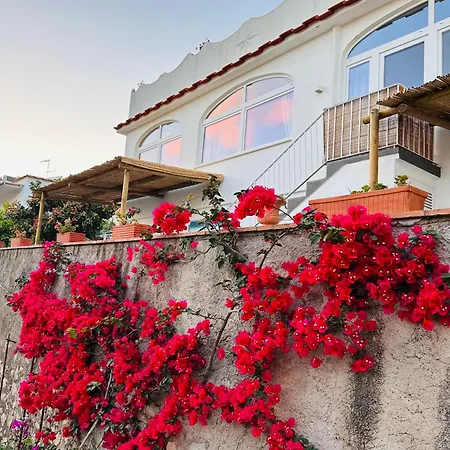 Joy Holiday home