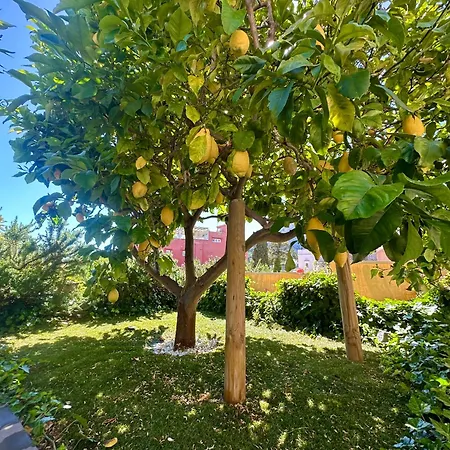Dom wakacyjny Joy Capri