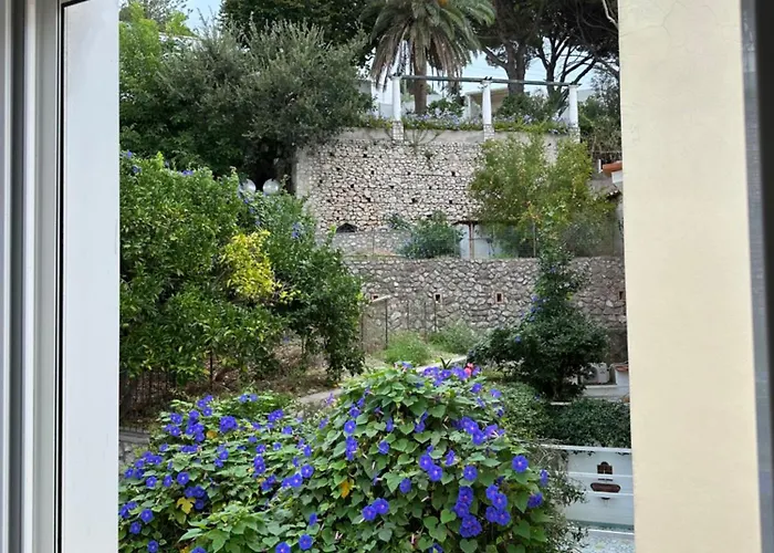 Joy Casa vacanze Capri